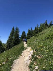 KAC Gaissau Kräuterwanderung 2019 06 29 12 46 24  4706